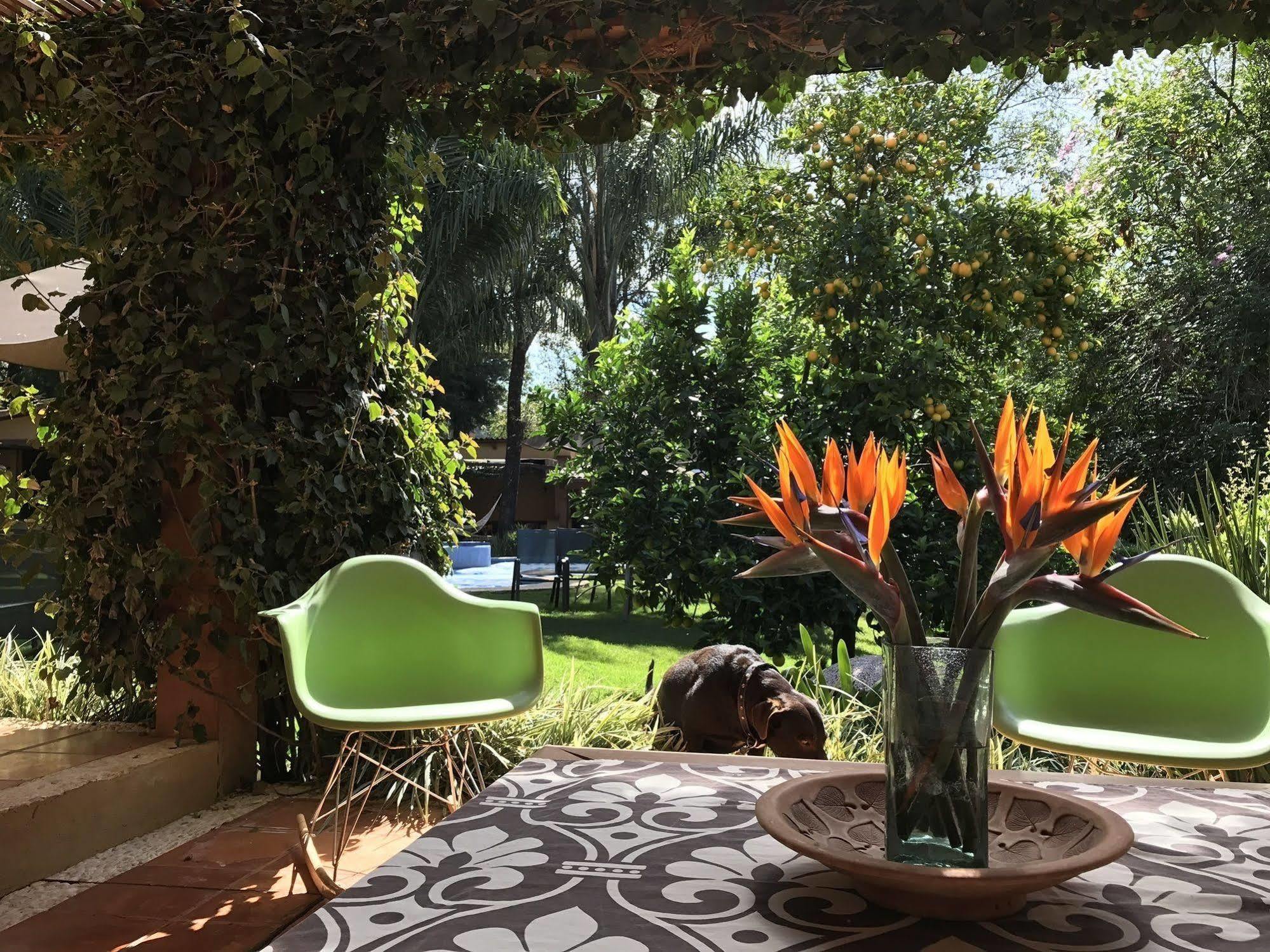 La Joya Del Viento Bed and Breakfast Valle de Bravo Exteriör bild